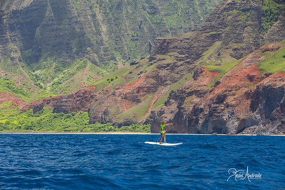 Kauai Photographer (21 of 61)