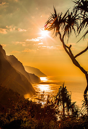 Golden Pali (1 of 1) copy