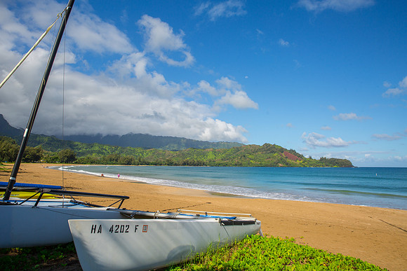 Hanalei Bay copy 3