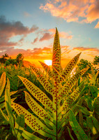 Bali Hai Sunset copy