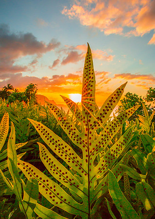 Bali Hai Sunset copy