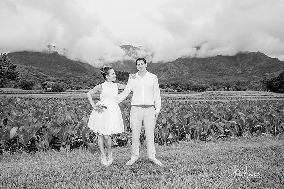 Kauai Wedding Photographer (1 of 1)-20