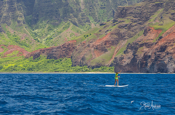 Kauai Photographer (20 of 61)