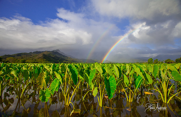 Anuenue 'o Hanalei