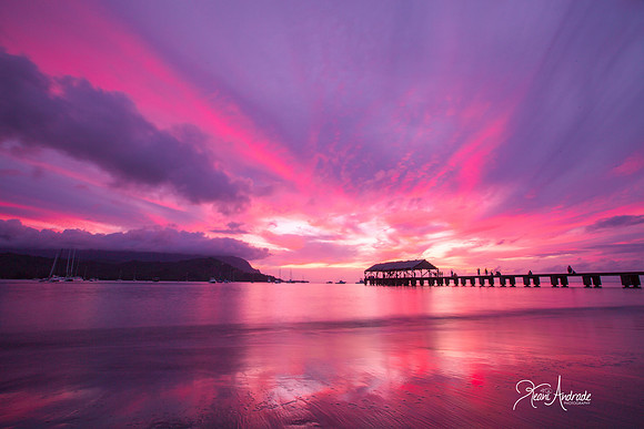Magenta Hanalei