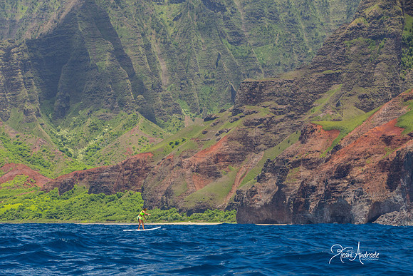 Kauai Photographer (18 of 61)
