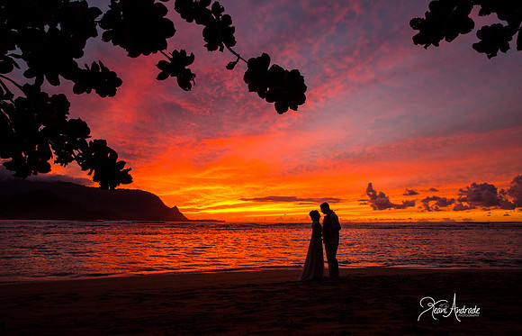 Bali Hai Love